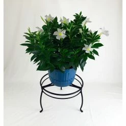 Vigoro 8 in. Black Metal Indoor Plant Stand -Vigoro Shop black vigoro plant stands 51470 c3 1000