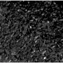 Vigoro EcoBorder 4 ft. Black Rubber Landscape Edging (48-Count/Pallet) 21 Vigoro EcoBorder 4 ft. Black Rubber Landscape Edging (48-Count/Pallet) -Vigoro Shop black vigoro rubber edging ecobrd bl 48 1f 1000