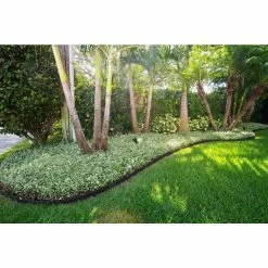 Vigoro EcoBorder 4 ft. Black Rubber Landscape Edging (6-Pack) -Vigoro Shop black vigoro rubber edging ecobrd blk 6pk 44 1000