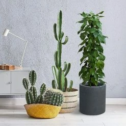 KANTE 15.8 in. x 12.9 in. and 9.8 in. W Round Charcoal Concrete/Fiberglass Indoor Outdoor Elegant Planters -Vigoro Shop charcoal kante plant pots osc0119abc c60121 1f 1000