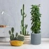 KANTE 15.8 in. W Round Charcoal Concrete/Fiberglass Indoor Outdoor Elegant Planter -Vigoro Shop charcoal kante plant pots osc0119c c60121 64 1000