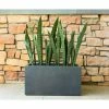 KANTE 23 in. L Rectangular Charcoal Concrete/Fiberglass Indoor Outdoor Elegant Planter -Vigoro Shop charcoal kante plant pots osf0104a c60121 64 1000