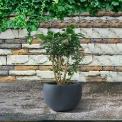 KANTE 8 in. H Charcoal Concrete and Fiberglass Round Bowl Planter, Outdoor Indoor Large Planters Pots with Drainage -Vigoro Shop charcoal kante plant pots rc0049a c60121 1f 1000