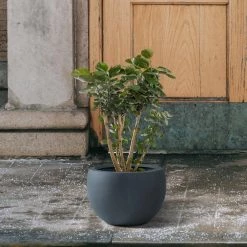 KANTE 8 in. H Charcoal Concrete and Fiberglass Round Bowl Planter, Outdoor Indoor Large Planters Pots with Drainage -Vigoro Shop charcoal kante plant pots rc0049a c60121 4f 1000