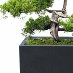 KANTE 31.4 in. & 23.6 in. L Rectangular Charcoal Lightweight Long Low Planters w/Drainage Hole (Set of 2), Outdoor/Indoor -Vigoro Shop charcoal kante plant pots rf0147ab c60121 76 1000