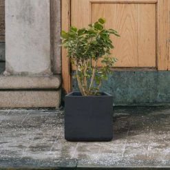 KANTE 11.81 x 11.81 in. Square Charcoal Lightweight Concrete and Weather Resistant Fiberglass Planter w/Drainage Hole -Vigoro Shop charcoal kante plant pots rf0221b c60121 44 1000