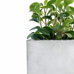 KANTE 31" and 23"L Rectangular Large Concrete Long Box Planters Set of 2, Outdoor/Indoor Strong UV Resistant w/Drainage Holes -Vigoro Shop concrete kante plant pots rf0104ab c81921 76 1000