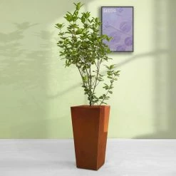 KANTE 24.4 in. H Rectangle Faux Weathering Steel Lightweight Concrete Tapered Tall Planter with Drainage Hole, Outdoor/Indoor -Vigoro Shop faux weathering steel kante plant pots rf0004c c91942 76 1000