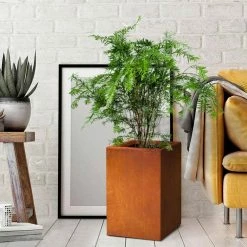 KANTE 16 in. H Faux Weathering Steel Finish Concrete Square, Modern Outdoor/Indoor Lightweight Planter Pot with Drainage Hole 17 KANTE 16 in. H Faux Weathering Steel Finish Concrete Square, Modern Outdoor/Indoor Lightweight Planter Pot with Drainage Hole -Vigoro Shop faux weathering steel kante plant pots rf0007b c91942 76 1000