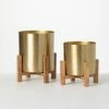 SULLIVANS Brass Planter On Stands - Set of 2 -Vigoro Shop gold sullivans plant pots n2715 64 1000