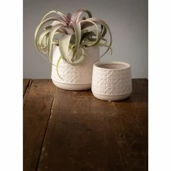 Vigoro Shop -Vigoro Shop gray sullivans plant pots cm2943 c3 1000