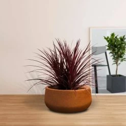 KANTE 16 in. Dia. Round Iron Oxide Concrete Bowl Planter, Outdoor Indoor Large Planter Pot with Drainage Hole -Vigoro Shop iron oxide kante plant pots rc0051b c80621 1f 1000