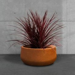 KANTE 16 in. Dia. Round Iron Oxide Concrete Bowl Planter, Outdoor Indoor Large Planter Pot with Drainage Hole -Vigoro Shop iron oxide kante plant pots rc0051b c80621 44 1000