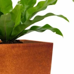 KANTE 28 in. H Iron Oxide Lightweight Concrete Tapered Planter with Drainage Hole, Large Outdoor/Indoor Tall Square Planter -Vigoro Shop iron oxide kante plant pots rf0229a s c80621 31 1000