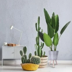 KANTE 17.4 in. Tall Light Gray Lightweight Concrete Classic Outdoor/Indoor Cylindrical Planter with 3 Wooden Legs 11 KANTE 17.4 in. Tall Light Gray Lightweight Concrete Classic Outdoor/Indoor Cylindrical Planter with 3 Wooden Legs -Vigoro Shop light gray kante plant pots 18h231 ct 1f 1000