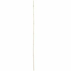 Vigoro 5 ft. Natural Bamboo Stake -Vigoro Shop natural bamboo beige vigoro tomato cages bb5vg 1f 1000