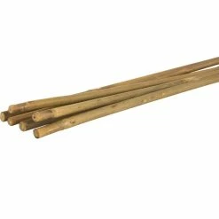 Vigoro Bamboo 6 ft. Natural Stake -Vigoro Shop natural bamboo beige vigoro tomato cages bb6vg 4f 1000