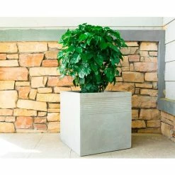 KANTE 15 in. W Square Natural Concrete/Fiberglass Indoor Outdoor Elegant Planter -Vigoro Shop natural concrete kante plant pots osf0128b c80021 fa 1000