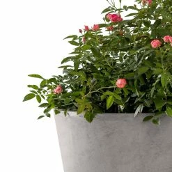 KANTE Large, Medium, Small Round Natural Finish Lightweight Concrete and Weather Resistant Fiberglass Planters (Set of 3) -Vigoro Shop natural concrete kante plant pots rc0154bcd c80021 1f 1000