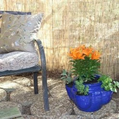 Vigoro 4 ft. H x 8 ft. W Natural Peeled and Polished Reed Fencing -Vigoro Shop natural vigoro garden fencing 4477301 44 1000