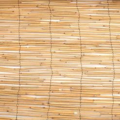 Vigoro 4 ft. H x 8 ft. W Natural Peeled and Polished Reed Fencing -Vigoro Shop natural vigoro garden fencing 4477301 c3 1000