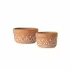 SULLIVANS Orange Cement Dish Garden Pot (Set of 2) -Vigoro Shop orange sullivans plant pots cmt1181 64 1000