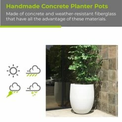 KANTE 21.7 in. H Round Pure White Concrete Indoor Outdoor Modern Tall Planter -Vigoro Shop pure white kante plant pots osc0066a c80011 d4 1000