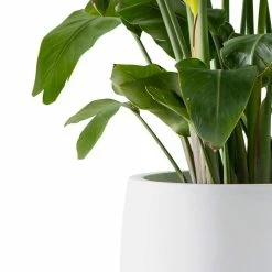 KANTE 19.6 in., 15.7 in. & 11.8 in. W Round Pure White Concrete Elegant Planters Set of 3, Outdoor Indoor w/Drainage Holes -Vigoro Shop pure white kante plant pots rc0051abc c80011 1f 1000