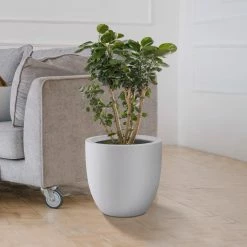 KANTE 13.39 in. x 12.6 in. Round Pure White Lightweight Concrete and Fiberglass Indoor Outdoor Planter with Drainage Hole -Vigoro Shop pure white kante plant pots rc0152b c80011 44 1000