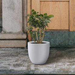 KANTE 13.39 in. x 12.6 in. Round Pure White Lightweight Concrete and Fiberglass Indoor Outdoor Planter with Drainage Hole -Vigoro Shop pure white kante plant pots rc0152b c80011 fa 1000