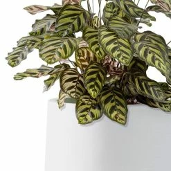 KANTE 17.3 in. H Round Pure White Concrete Planter, Outdoor Indoor Large Planter Pots Containers with Drainage Holes 15 KANTE 17.3 in. H Round Pure White Concrete Planter, Outdoor Indoor Large Planter Pots Containers with Drainage Holes -Vigoro Shop pure white kante plant pots rf2015022b c80011 4f 1000