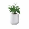 KANTE 17.3 in. H Round Pure White Concrete Planter, Outdoor Indoor Large Planter Pots Containers with Drainage Holes -Vigoro Shop pure white kante plant pots rf2015022b c80011 64 1000