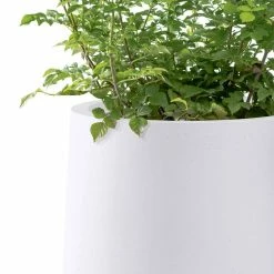 KANTE 13.4 in. H Pure White Tuliped Round Concrete Planter, Outdoor Indoor Large Planter Pots, Containers with Drainage Holes 11 KANTE 13.4 in. H Pure White Tuliped Round Concrete Planter, Outdoor Indoor Large Planter Pots, Containers with Drainage Holes -Vigoro Shop pure white kante plant pots rf2015022c c80011 44 1000