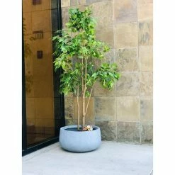 KANTE 20 in. W Round Slate Gray Lightweight Concrete/Fiberglass Indoor Outdoor Elegant Bowl Planter 14 KANTE 20 in. W Round Slate Gray Lightweight Concrete/Fiberglass Indoor Outdoor Elegant Bowl Planter -Vigoro Shop slate gray kante plant pots osc0051c c60611 66 1000