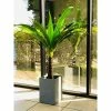 KANTE 13 in. H Square Slate Gray Lightweight Concrete/Fiberglass Indoor Outdoor Modern Planter -Vigoro Shop slate gray kante plant pots osf0007a c60611 64 1000