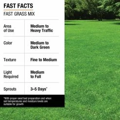 Vigoro 3 lbs. Fast Grass Seed Mix 26 Vigoro 3 lbs. Fast Grass Seed Mix -Vigoro Shop vigoro grass seed 25102 fa 1000