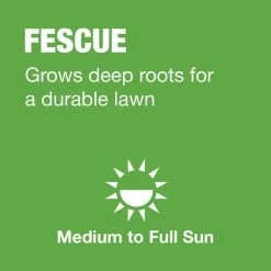Vigoro 7 lbs. Tall Fescue Grass Seed Blend with Water Saver Seed Coating 18 Vigoro 7 lbs. Tall Fescue Grass Seed Blend with Water Saver Seed Coating -Vigoro Shop vigoro grass seed 25685 a0 1000