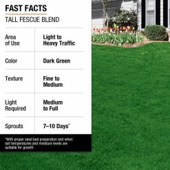 Vigoro 7 lbs. Tall Fescue Grass Seed Blend with Water Saver Seed Coating 26 Vigoro 7 lbs. Tall Fescue Grass Seed Blend with Water Saver Seed Coating -Vigoro Shop vigoro grass seed 25685 fa 1000