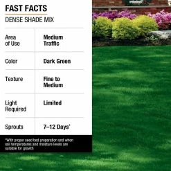 Vigoro 3 lbs. Dense Shade Grass Seed Mix with Water Saver Seed Coating -Vigoro Shop vigoro grass seed 25689 fa 1000
