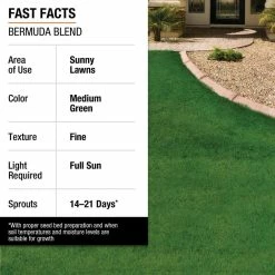 Vigoro 1 lb. Bermuda Grass Seed Blend with Water Saver Seed Coating -Vigoro Shop vigoro grass seed 52334 1f 1000