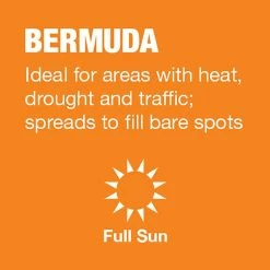 Vigoro 5 lbs. Bermuda Grass Seed Blend with Water Saver Seed Coating 18 Vigoro 5 lbs. Bermuda Grass Seed Blend with Water Saver Seed Coating -Vigoro Shop vigoro grass seed 52335 a0 1000