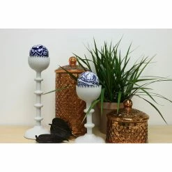 Vigoro 6 in. Grower's Choice Dracaena Indoor Plant in Small White Ribbed Plastic Decor Planter (2-Pack) -Vigoro Shop vigoro indoor plants co jc06 3 vi wh c3 1000