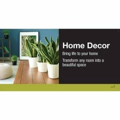 Vigoro 6 in. Neanthebella Palm Indoor Plant in Small White Ribbed Plastic Decor Planter (2-Pack) -Vigoro Shop vigoro indoor plants co np07 3 vi wh 40 1000