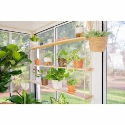 Vigoro 6 in. Golden Pothos Indoor Plant in Small White Ribbed Plastic Decor Planter (2-Pack) -Vigoro Shop vigoro indoor plants co poth 3 vi wh 1f 1000