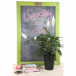 Vigoro 6 in. Peace Lily Indoor Plant in Small White Ribbed Plastic Decor Planter (2-Pack) 15 Vigoro 6 in. Peace Lily Indoor Plant in Small White Ribbed Plastic Decor Planter (2-Pack) -Vigoro Shop vigoro indoor plants co sy06 3 vi wh c3 1000