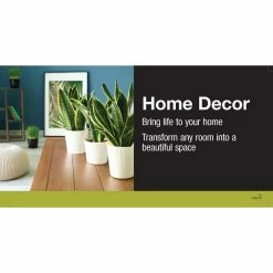 Vigoro 6 in. ZZ Indoor Plant in Small White Ribbed Plastic Decor Planter (2-Pack) -Vigoro Shop vigoro indoor plants co zz vi wh 40 1000