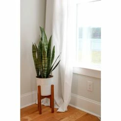 Vigoro 6 in. Sansevieria Snake Plant in Black Decor Pot -Vigoro Shop vigoro indoor plants sans6vigoro c3 1000