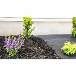 Vigoro 4 ft. x 50 ft. Point Bond Landscape Fabric 24 Vigoro 4 ft. x 50 ft. Point Bond Landscape Fabric -Vigoro Shop vigoro landscape fabric nmv04050b 44 1000