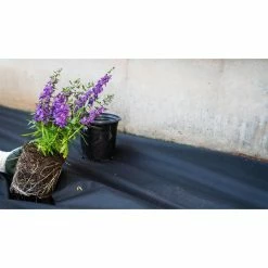 Vigoro 4 ft. x 50 ft. Point Bond Landscape Fabric 21 Vigoro 4 ft. x 50 ft. Point Bond Landscape Fabric -Vigoro Shop vigoro landscape fabric nmv04050b c3 1000