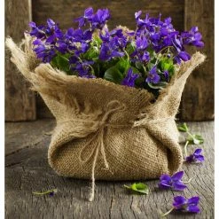 Vigoro 3 ft. x 24 ft. 100% Natural Burlap Landscape Fabric (2-Pack) 18 Vigoro 3 ft. x 24 ft. 100% Natural Burlap Landscape Fabric (2-Pack) -Vigoro Shop vigoro landscape fabric nmvb0324 2pk c3 1000